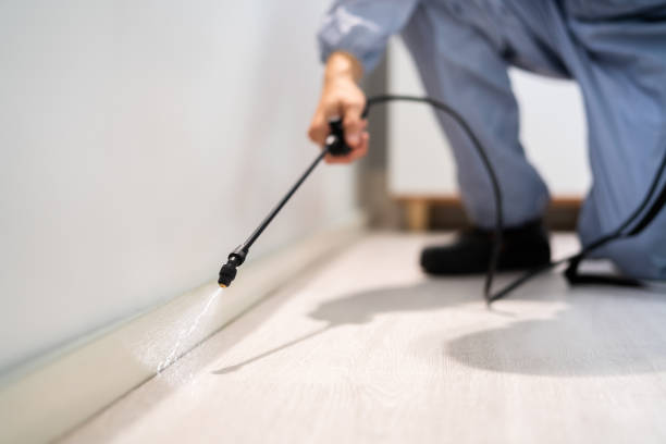 Licensed Cockroach Control service in Houston, MO - Nex Pest Control