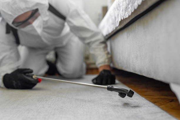 Professional Cockroach Control technician working in Houston, MO