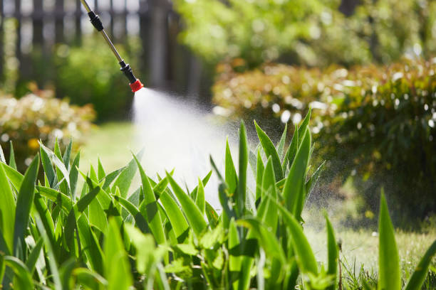 24/7 Emergency Cockroach Control experts in Houston, MO