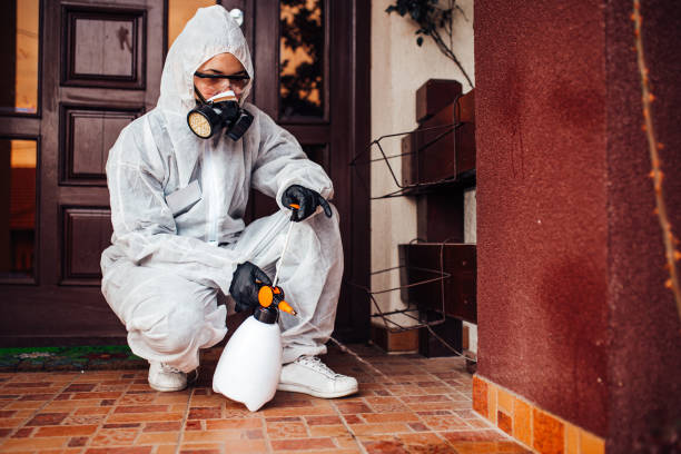 Reliable Cockroach Control contractor in Houston, MO by Nex Pest Control